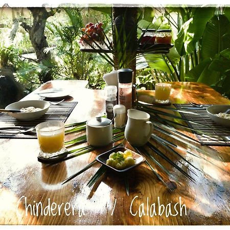 Chinderera Eco Lodge Manguzi Dış mekan fotoğraf