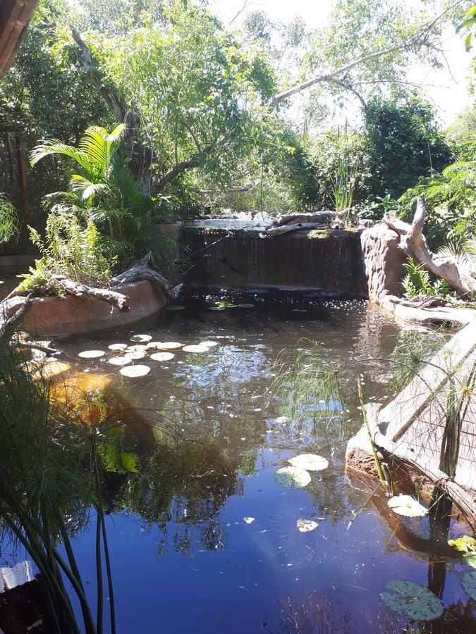 Chinderera Eco Lodge Manguzi Dış mekan fotoğraf