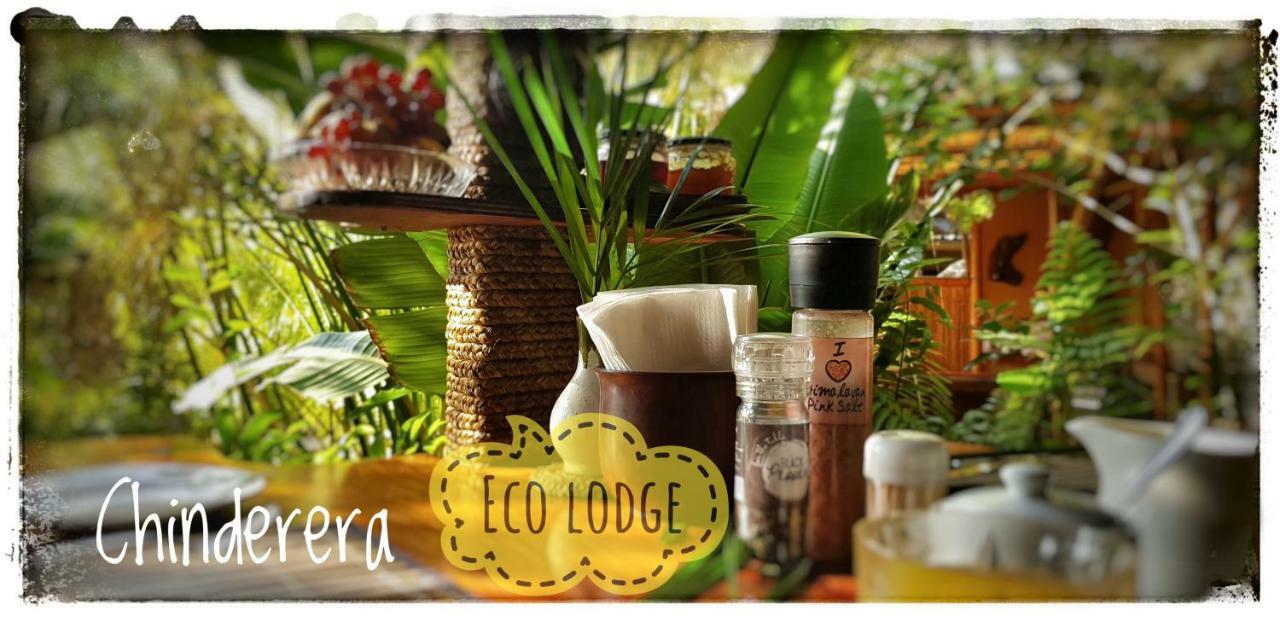 Chinderera Eco Lodge Manguzi Dış mekan fotoğraf