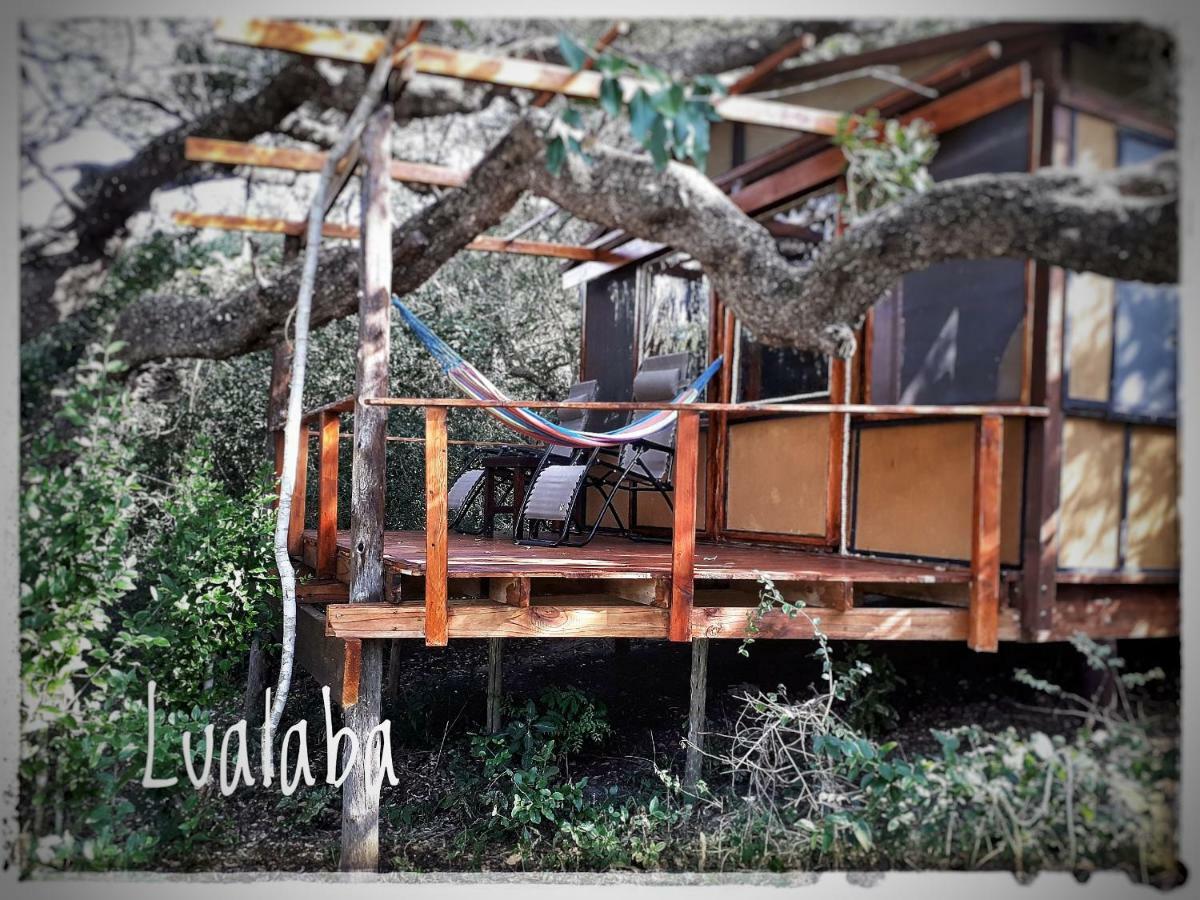 Chinderera Eco Lodge Manguzi Dış mekan fotoğraf